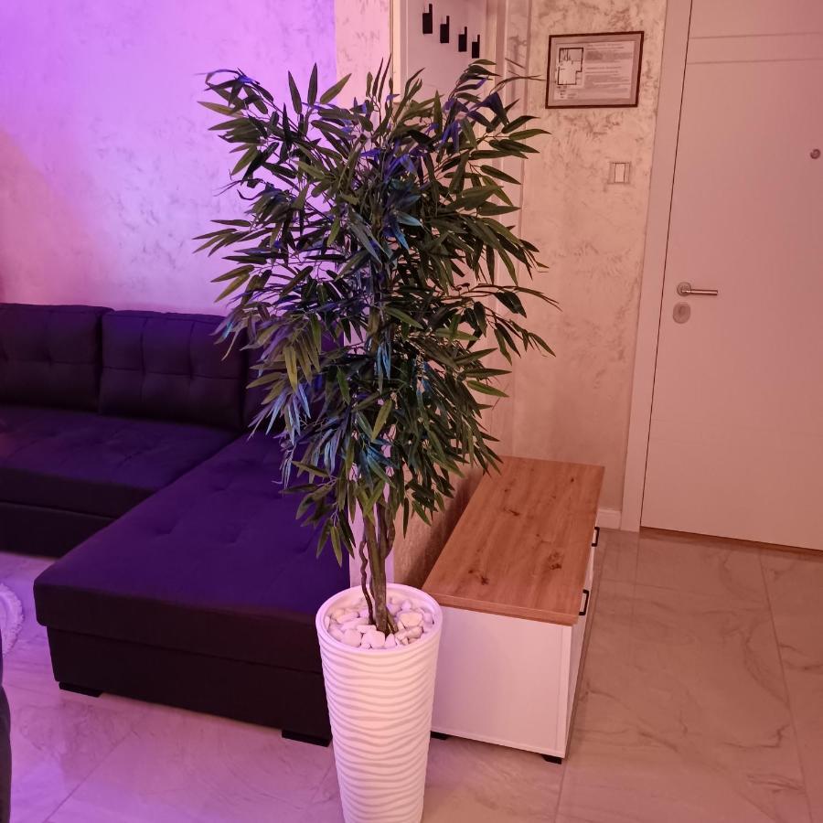 Rb Apartment 3 Lux Smart House Subotica Eksteriør billede